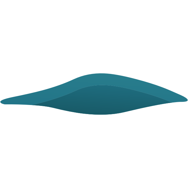 SVG ilmenskie grass detail 4
