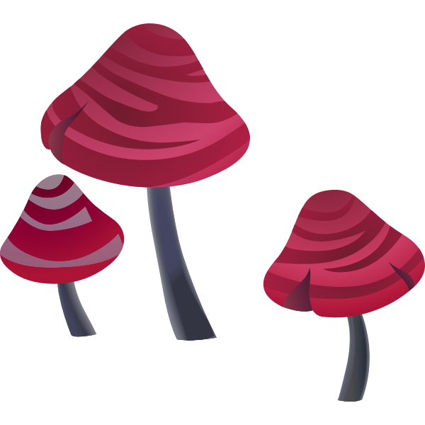 SVG ilmenskie tree int sroom 1