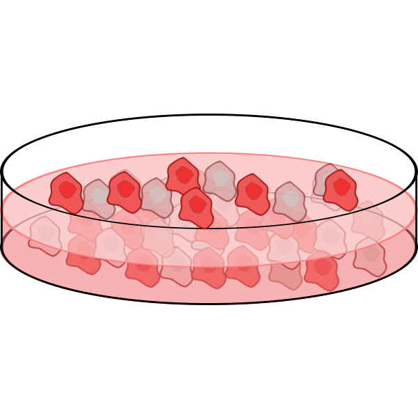 SVG Image of cell culture dish