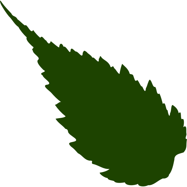 SVG Image of drak green silhouette of a leaf