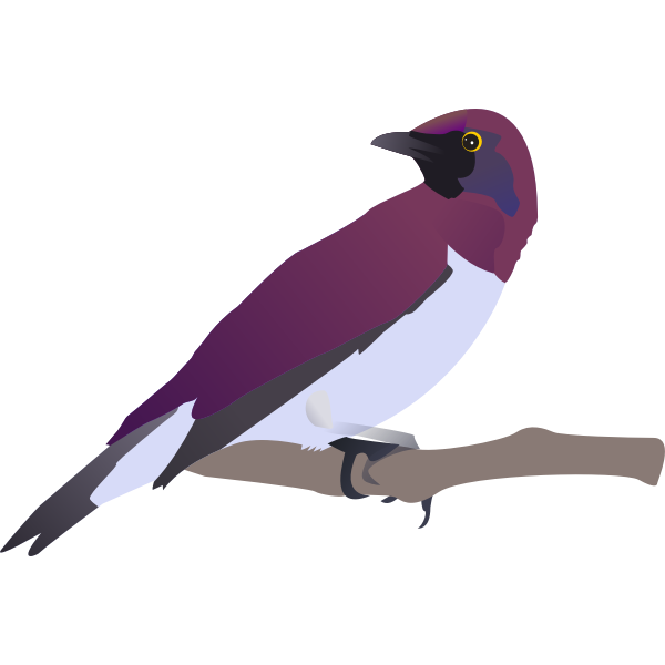 SVG Image of exotic bird holding on to a tree branch