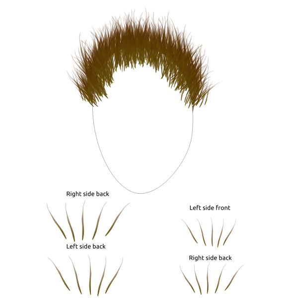 SVG Image of man039s face shape with hair parts
