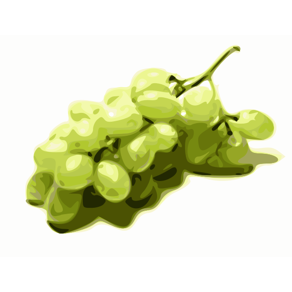 SVG Image of stylized green grapes