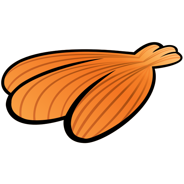 SVG Image of summer orange sea shell
