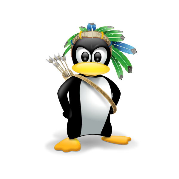 SVG Indian penguin vector image