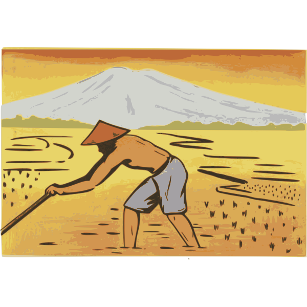 SVG Indonesian rice paddy