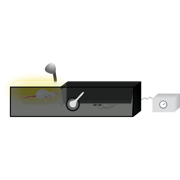 SVG Inhibitory Avoidance