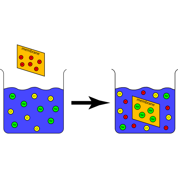SVG Ion Exchange Capacity Experiment