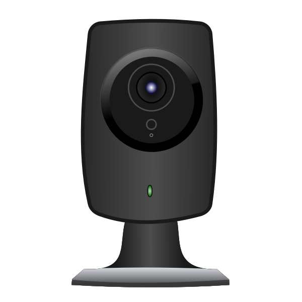 SVG IP Camera