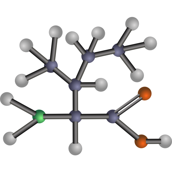 SVG Isoleucine amino acid