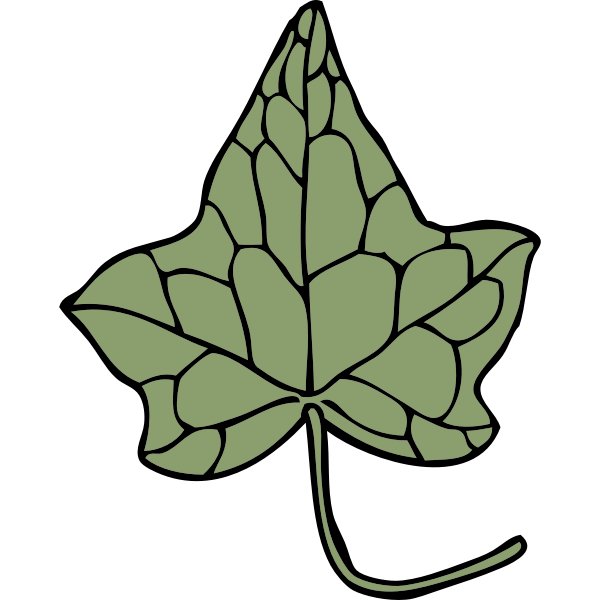 SVG ivy leaf 5