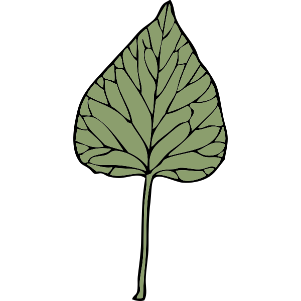 SVG ivy leaf 6