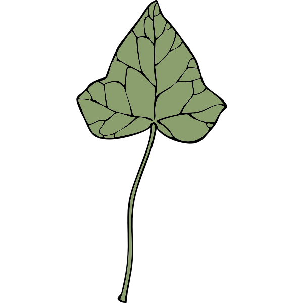 SVG ivy leaf 7
