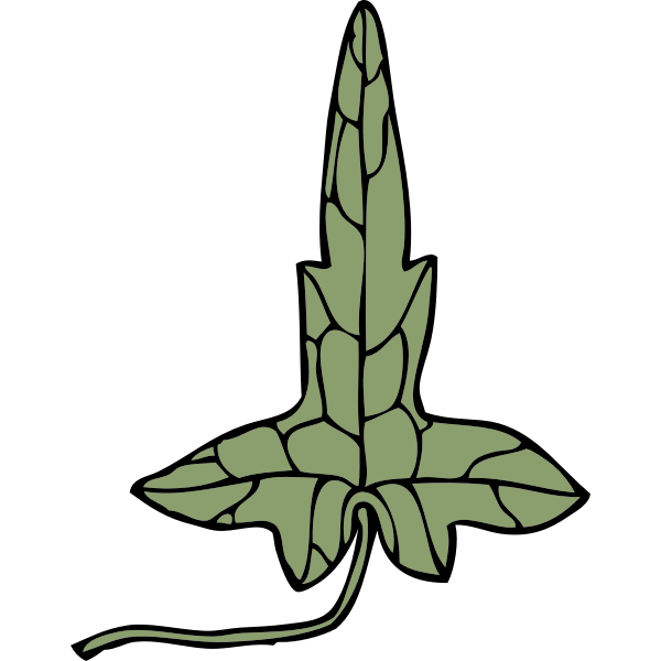 SVG ivy leaf 8