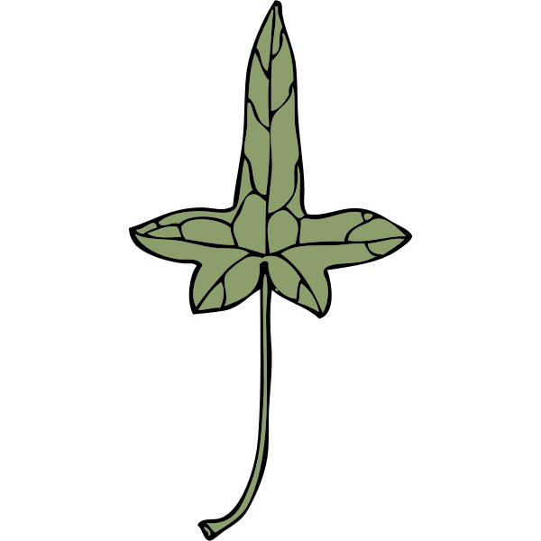 SVG ivy leaf 9