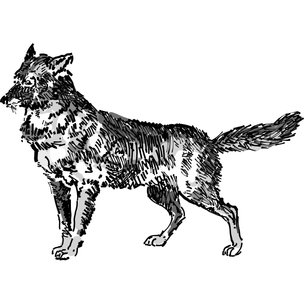 SVG Jackal