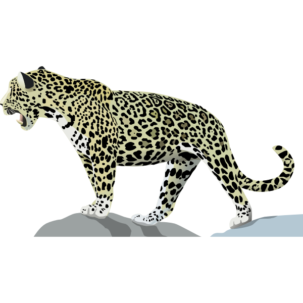 SVG Jaguar