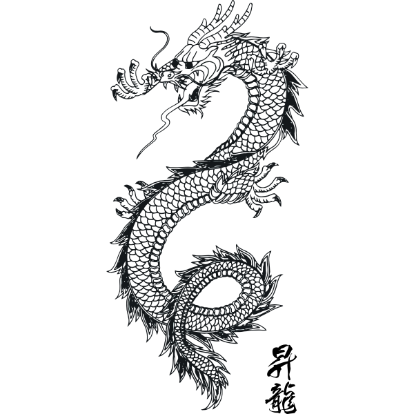 SVG Japanese dragon vector image