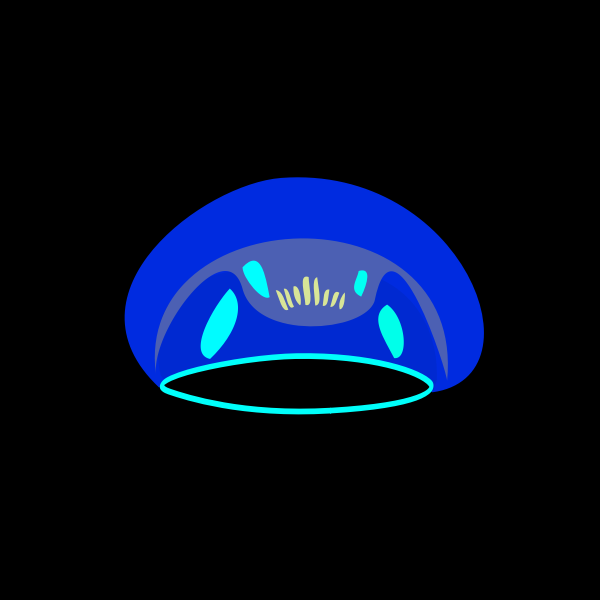 SVG jellyfish in the sea at night