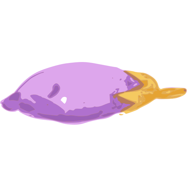 SVG jiangyi 99 eggplant 02