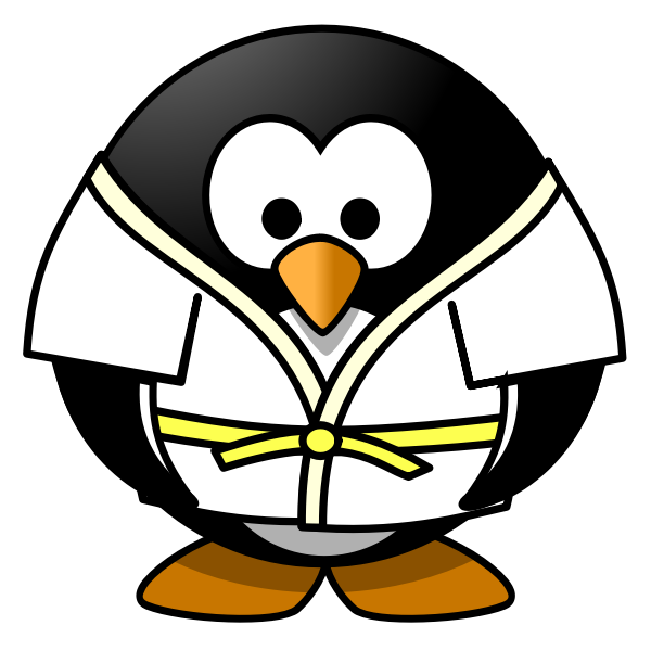 SVG Judo penguin vector image