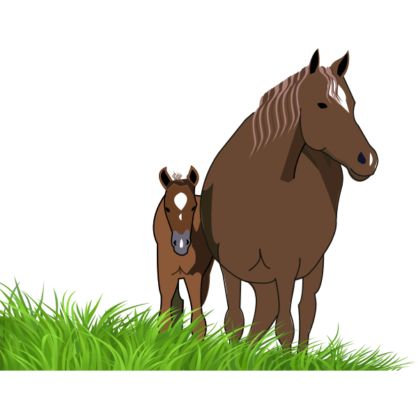 SVG jument et son poulain