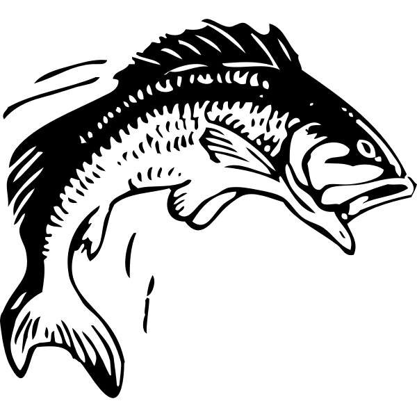 SVG Jumping fish vector image