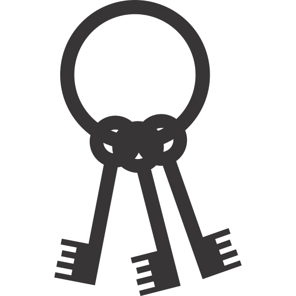 SVG Keys on a ring silhouette vector image
