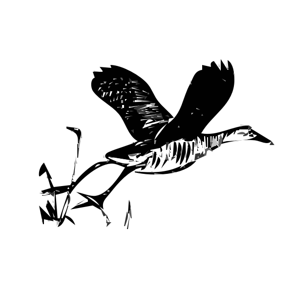 SVG King rail bird in flight outline vector illustration