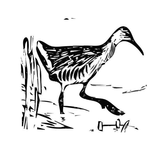 SVG King rail in the marshland vector clip art
