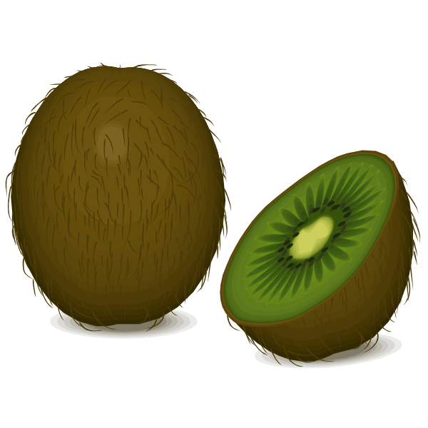 SVG Kiwi fruit and half