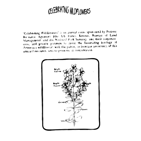 SVG Klamath Weed Coloring Guide