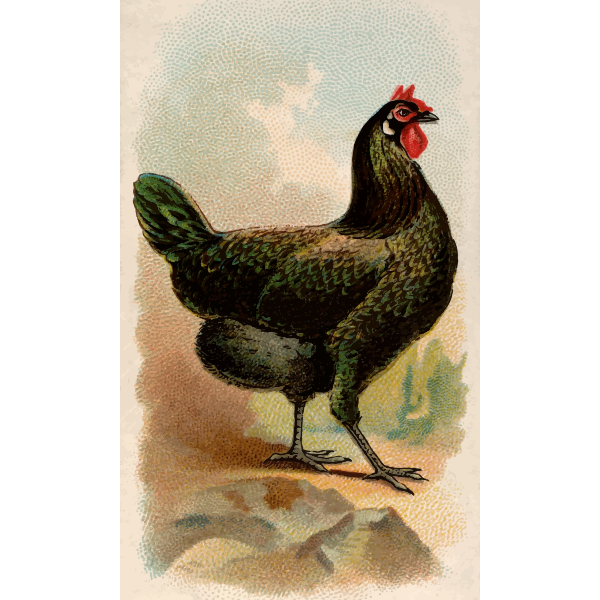 SVG La Fleche Hen
