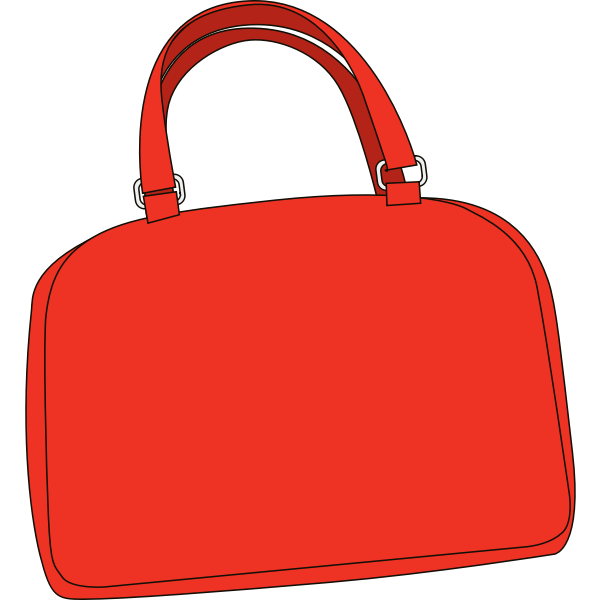 SVG Ladies purse vector image