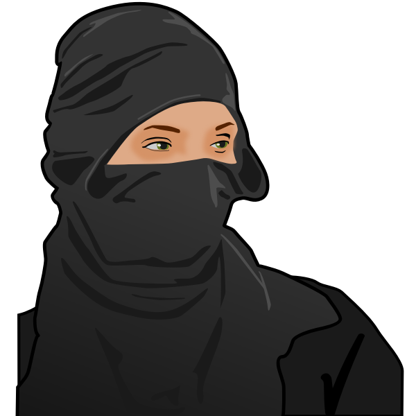 SVG Lady ninja vector image