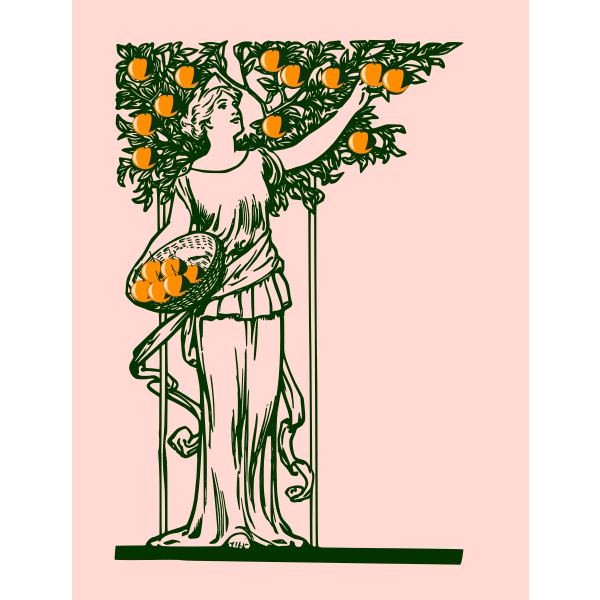 SVG Lady picking oranges