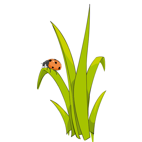 SVG Ladybird on grass