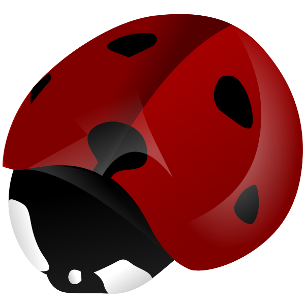SVG Ladybird vector