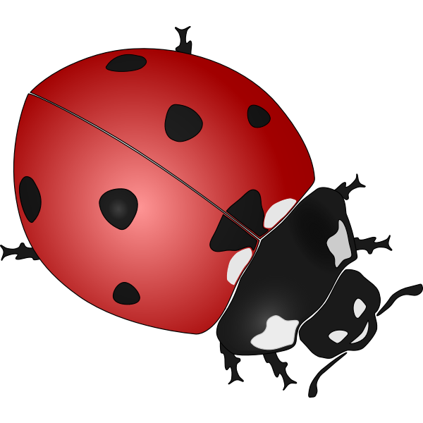 SVG ladybug