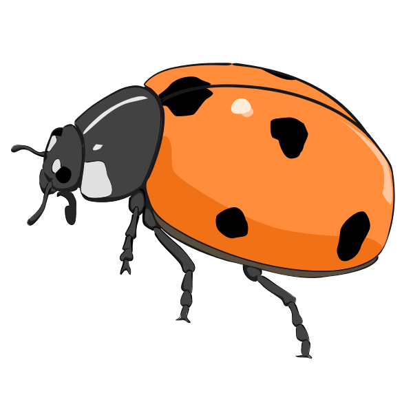 SVG Ladybug-1573471467