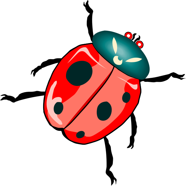 SVG Ladybug illustration