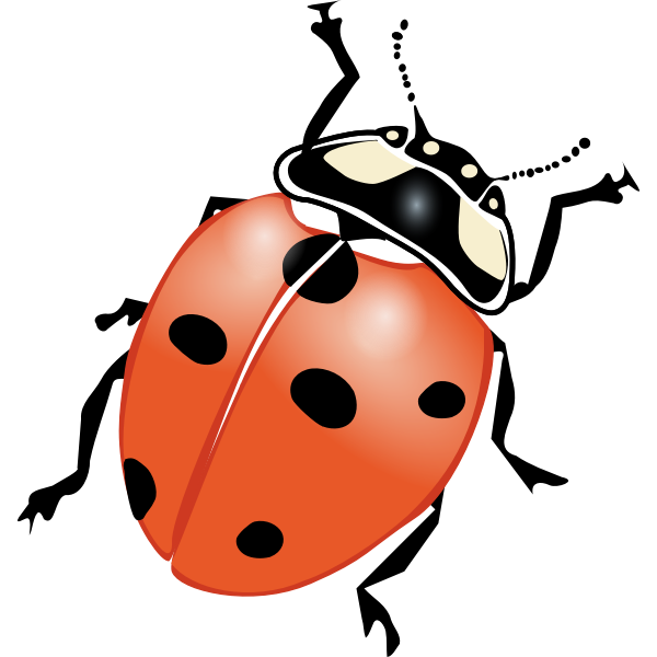 SVG Ladybug vector drawing