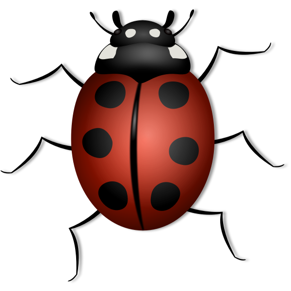 SVG Ladybug vector illustration