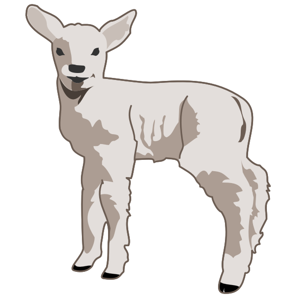 SVG Lamb vector image