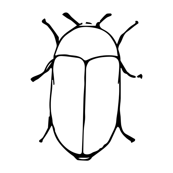 SVG Larder beetle