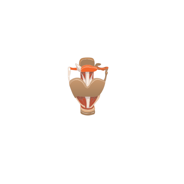 SVG Larynx