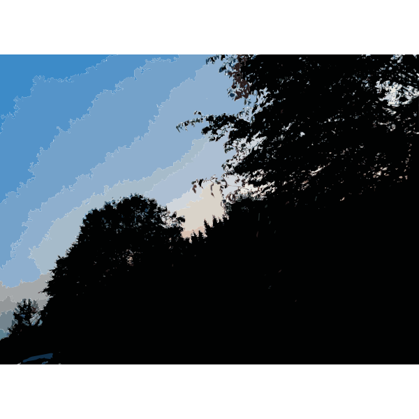 SVG Late Afternoon in the Forest 3 2015071545