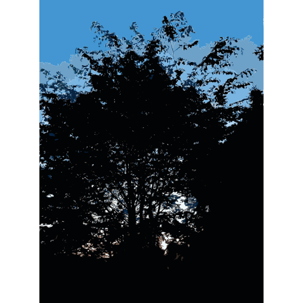 SVG Late Afternoon in the Forest 4 2015071545