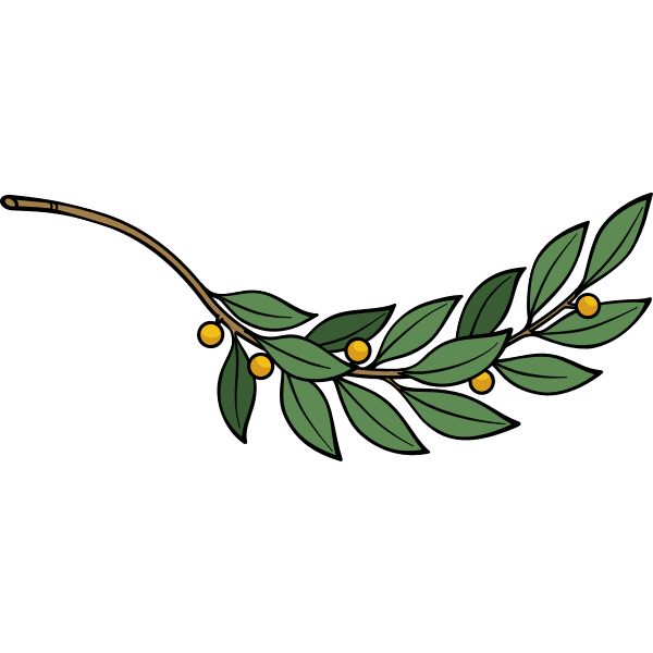 SVG Laurel branch vector image