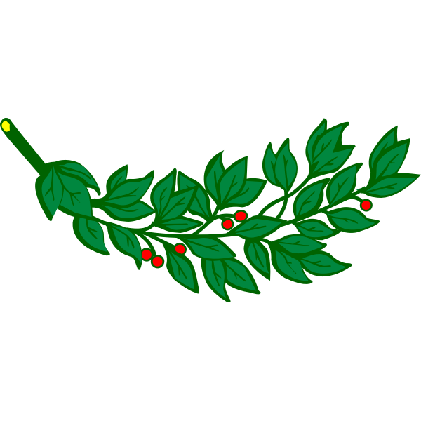SVG Laurel branch with red berries vector image